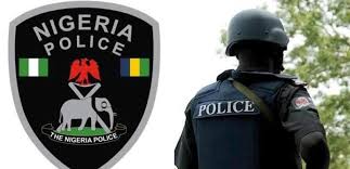 Branches in the Nigerian police force